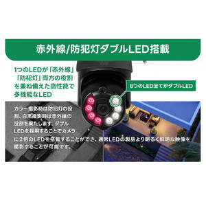 みてるちゃん5Plus2 ガンメタ 防犯カメラ 監視カメラ 屋外 家庭用WTW-EGDRY388GBX2