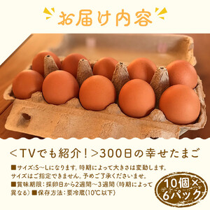 ＜TVでも紹介！＞鈴鹿市の「300日の幸せたまご」 10個×6パック