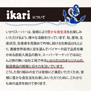 いかりの人気もなかアイスセット