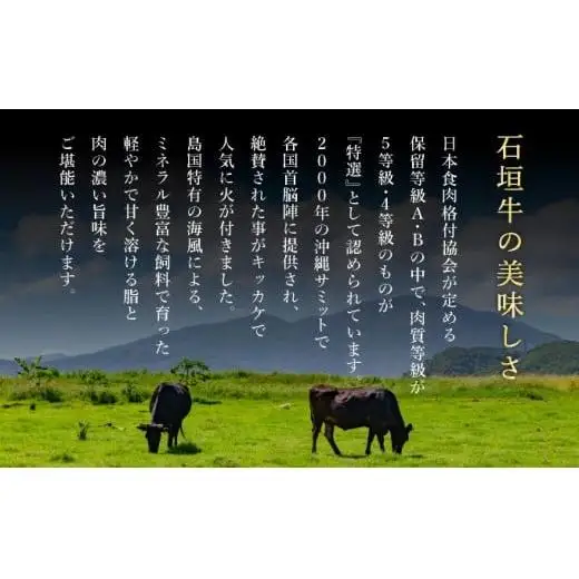 上赤身（ウチモモ、シンタマ、ランプ）ステーキ肉　合計400g　IM-49