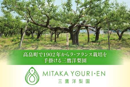 【期間限定発送】 ラ・フランス 高畠町産 ラ・フランス 9玉 100% ジュース 2本 計11点 セット [三鷹洋梨園 山形県 高畠町 tk06ays910003]