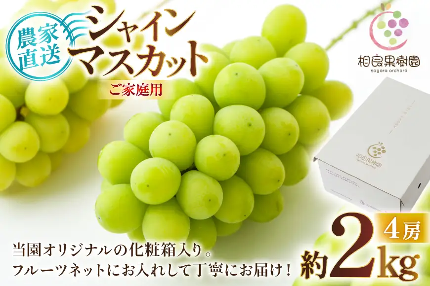 【期間限定発送】 シャインマスカット 箱 満杯詰め 4房 約2kg [相良果樹園 山形県 高畠町 tk06ayt350005]