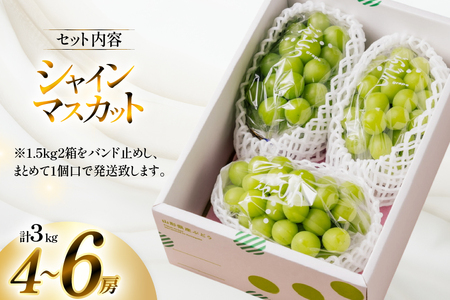 【期間限定発送】 シャインマスカット 4?6房 約 3kg [いわた果樹園 山形県 高畠町 tk06ayt400002]