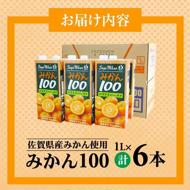 佐賀県産みかん使用 みかん100（ 紙パック 1L×6本） ジュース B110-044