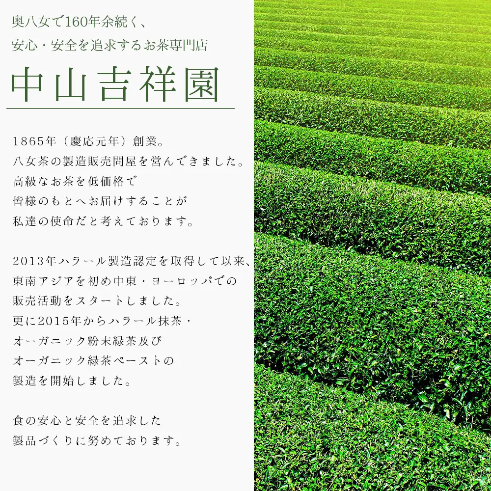 八女茶 水出し 緑茶 1袋 ( 2パック入り )｜ お茶 お手軽 簡単 ティーバッグ 八女 抹茶 10g 福岡県 福岡 九州 東峰村 お土産 送料無料 3S15