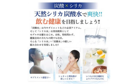 biora天然シリカ炭酸水 500ml×24本×12回 炭酸水 シリカ ミネラル 美容 飲料水 軟水 天然水 大分県 玖珠町 健康 九州 採水 防災 備蓄 定期便 500ml 72mg/l 硬度43.1 健康志向 酸素 吸収 継続 サプリメント