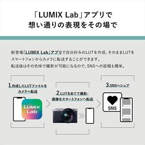 パナソニック フルサイズミラーレス一眼カメラ ルミックス DC-S9N-D カメラ