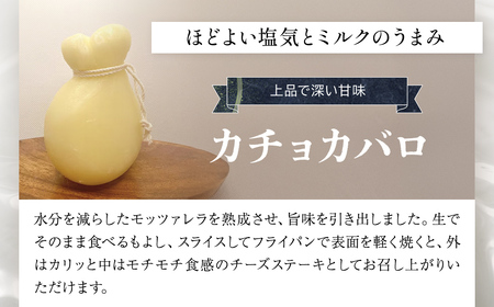 小江戸佐原　クラフトビール&チーズセット /  / ビール クラフトビール チーズ セット おつまみ 晩酌 モッツァレラチーズ カチョカバロ さけるモッツァレラチーズ ペールエール ニューイングランドIPA ホワイト ブラック INO001