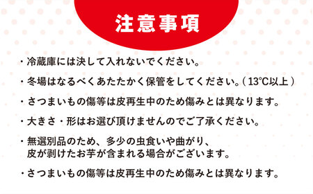 【訳あり】香取市産 さつまいも 紅はるか 約10kg×1 焼き芋やスイートポテトにどうぞ  / 芋 サツマイモ さつま芋 紅はるか べにはるか ベニハルカ 焼き芋 焼芋 焼いも お芋 おいも いも 生芋 ITO003_X1