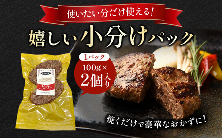 肉含有率80% 粗挽きハンバーグ 100g×10個 小分け 国産牛100％使用 北海道産牛 ハンバーグ
