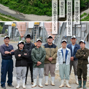 阿波尾鶏 薄皮生餃子 72個 18ケ入×4P 餃子 ぎょうざ 地鶏 中華 簡単調理 冷凍