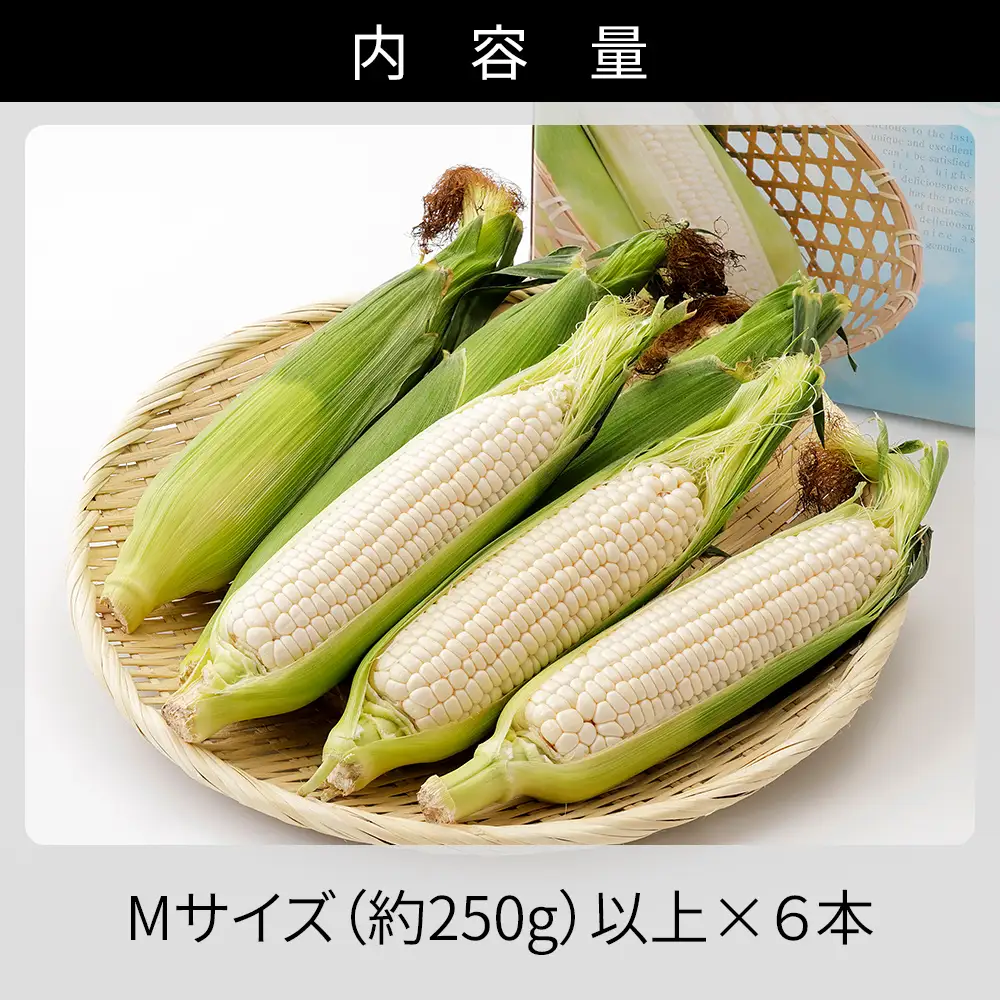 2026年産 先行予約 北海道産 ホワイトコーン 計6本 北海道 上士幌町 須田農場 野菜 白い スイートコーン とうもろこし トウモロコシ 産地直送 冷蔵便 ◆2026年08月配送予定