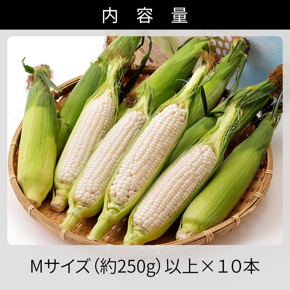 2026年産 先行予約 北海道産 ホワイトコーン 計10本 北海道 上士幌町 須田農場 野菜 白い スイートコーン とうもろこし トウモロコシ 産地直送 冷蔵便 ◆2026年08月配送予定