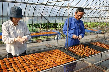 919.ころ柿 10個入り