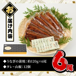 ＜丑の日先行予約受付中！＞ うなぎ 無投薬 鹿児島県産 ＜定番＞(計720g以上・ 約120g×6尾) うなぎ【西日本養鰻】A732-v01