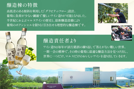 ワイン 白 やや辛口 葡萄街道 360ml 12本 ワインセット [本坊酒造株式会社マルス穂坂ワイナリー 山梨県 韮崎市 20743925] 