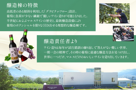 ワイン 赤 ミディアムボディ 葡萄街道 360ml 12本 ワインセット [本坊酒造株式会社マルス穂坂ワイナリー 山梨県 韮崎市 20743926] 