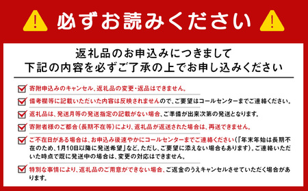 北海道限定カルビーじゃがポックル ほたて塩味（10袋入り 4箱）