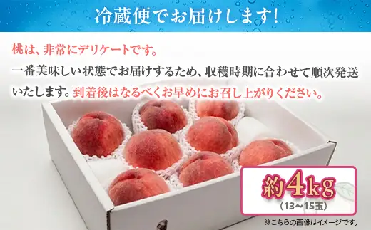 白桃 約4kg（13～15玉）和歌山県産 厳選 化粧箱入り ｜ 白鳳・清水白桃・川中島・もも・はくとう【化粧箱入り】