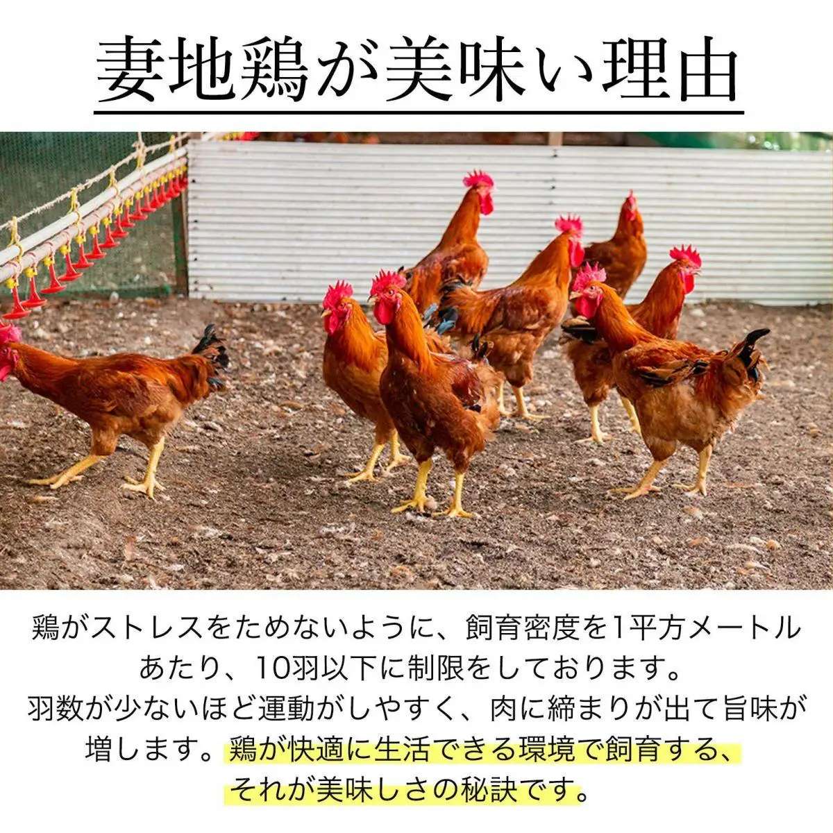 ブランド地鶏「妻地鶏」炭火焼・チキン南蛮セット30　真空パック＜8-5a＞★