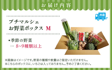 プチマルシェお野菜ボックス(Ｍ)　季節の野菜８～９種類　≪IDOMALL　セレクト≫|野菜 新鮮 冷蔵 旬 香川県 野菜ボックス 季節の野菜 青果物 季節 マルシェ 冷蔵 おすすめ|_mk048-004