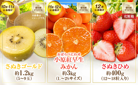 さぬき旬のフルーツ大満足　12回定期便|定期便 キウイ いちご 女峰 みかん 不知火 さぬきひめ デコポン びわ なつたより ぶどう ピオーネ シャインマスカット 大房 さぬきゴールド 小原紅早生 化粧箱 香緑 香川 毎月配送|_mk006-t009d