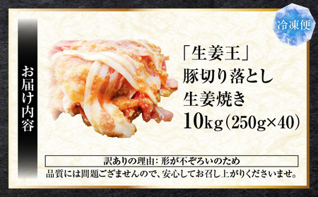 訳あり　豚生姜焼き　《生姜王》10kg盛り　秘伝のタレ漬け　焼くだけ簡単生姜焼き|肉 豚肉 生姜焼き 生姜 秘伝 タレ タレ漬け コク ジューシー 濃厚 切り落とし 冷凍 香川県 三木町 おすすめ|_mk146-200