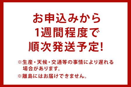 国産 しじみ 味噌汁 真空パック インスタント みそ汁 即席 48食 (6食入り×8個) セット しじみ汁 シジミ 蜆 インスタント味噌汁 常温保存 個包装 殻付きしじみ 即席味噌汁 味噌 みそ 簡単調理 常温 手軽 健康食 疲労回復 茨城県 潮来市 (A14-005)