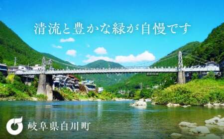 白川窯出しかすていら カステラ セット ご当地 白川町 / 白川菓匠 大黒屋[AWAA004]