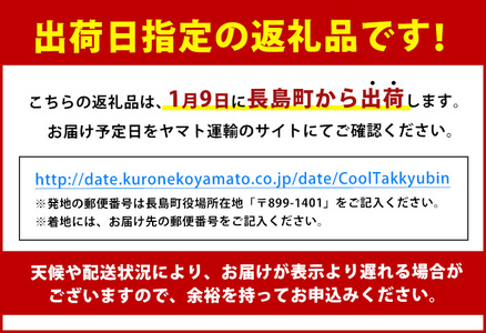 【期間限定特別寄附額】＼年始発送 先行予約／＜数量限定＞【2027年1月9日発送】『旅サラダ』で紹介ぶりの王様「 鰤王 」 フィレ 半身 (約1.2kg～・フィレ1枚) 産地直送 新鮮 旨味が抜群の 長島町 特産品 ブランド ぶり 鰤 ブリ 切り身 真空 冷蔵 刺身 ぶりしゃぶ しゃぶしゃぶ 魚 魚介 人気 ランキング 年末年始発送 【JFA】jfa-1630-09