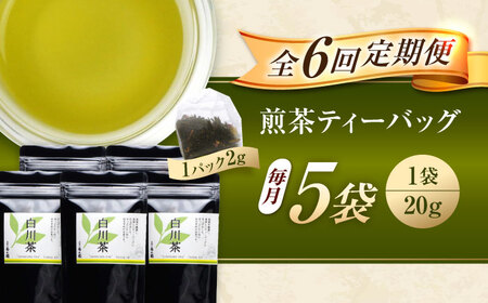 【6回定期便】香る 煎茶 ティーバッグ 5袋セット お茶 国産 岐阜 白川町 / 菊之園[AWAG006]