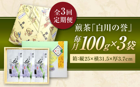 【3回定期便】本格 高級茶セット 100g×3袋 化粧箱入り お茶 煎茶 白川茶 茶葉 ギフト 白川町 / 菊之園[AWAG009]