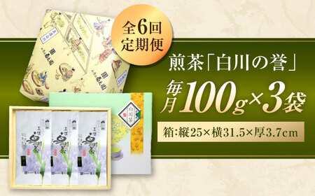 【6回定期便】本格 高級茶セット 100g×3袋 化粧箱入り お茶 煎茶 白川茶 茶葉 ギフト 白川町 / 菊之園[AWAG010]