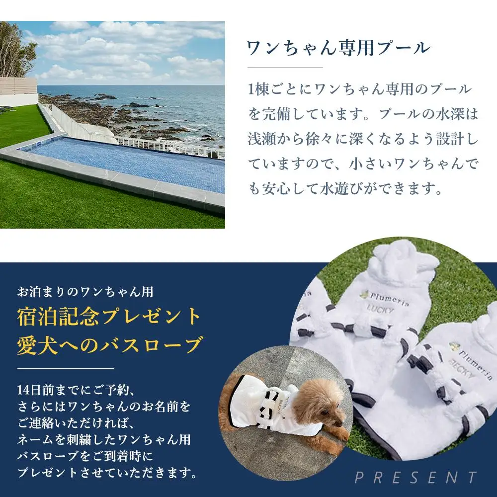 宿泊券 ペット DogvillaPlumeria INAMI. (プルメリア印南) 宿泊利用券 15,000円分