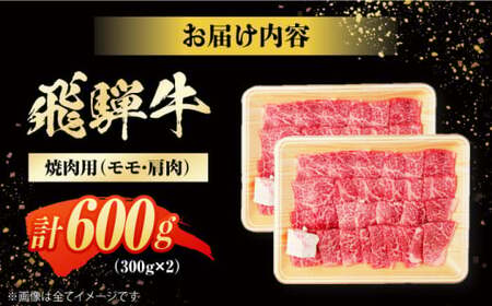 飛騨牛 【冷凍配送】焼肉用赤身【600g】 飛騨牛 白川町 浅井商店[AWBJ001]