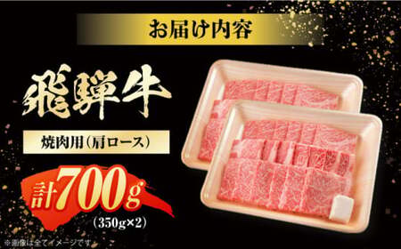 飛騨牛 焼肉用肩ロース 計700g  白川町 / 浅井商店[AWBJ002] 飛騨牛