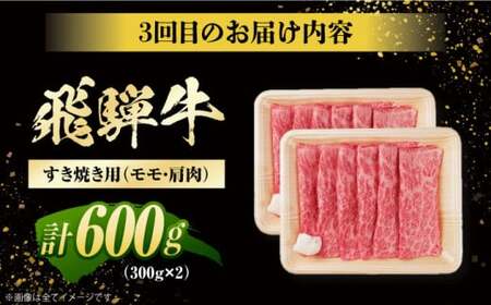 【3回定期便】 飛騨牛 モモ・肩肉 毎月600g / 白川町 / 浅井商店[AWBJ008]