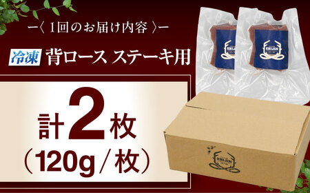 【全6回定期便】鹿肉 背ロース 2枚  ジビエ 赤身 冷凍配送 [AJAO069]