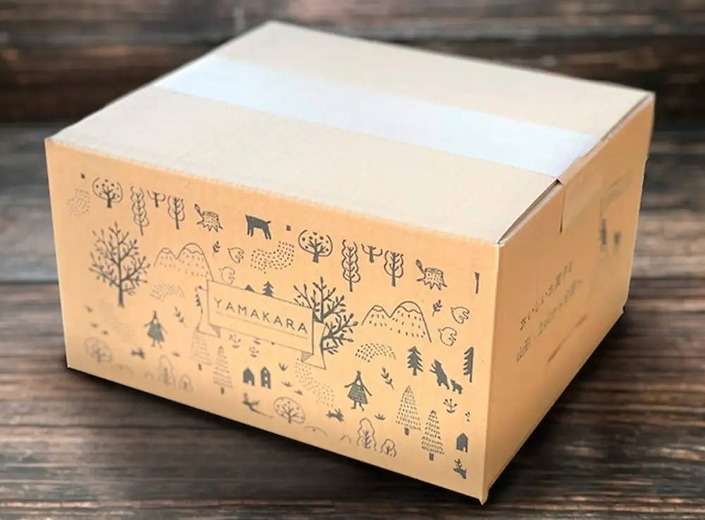 かみのやまシュー　１２個　0048-2606