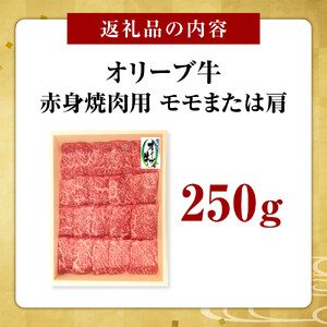 オリーブ牛　赤身焼肉用　250g
