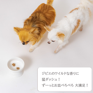 【いのいの2P+しかペースト2P】 ロヴァリのしかしか・いのいの ＆ しかペースト セット（ 愛犬 ジビエ おやつ ご褒美 イノシシ シカ 猪 鹿 小型犬 シニア犬 保存料不使用 愛媛 松山 ）【LVR003_c】