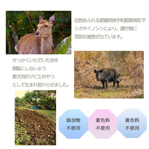 【イノシシ】ロヴァリのジビエおやつ ふりかけ イノシシ シカ （ 愛犬 ジビエ おやつ ご褒美 イノシシ シカ 猪 鹿 小型犬 シニア犬 保存料不使用 愛媛 松山 ）【LVR001_a】