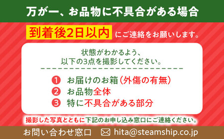 【先行予約】日田西瓜（すいか）【羅皇ザ・スウィート：1玉 7〜9kg】 スイカ[AREW002]
