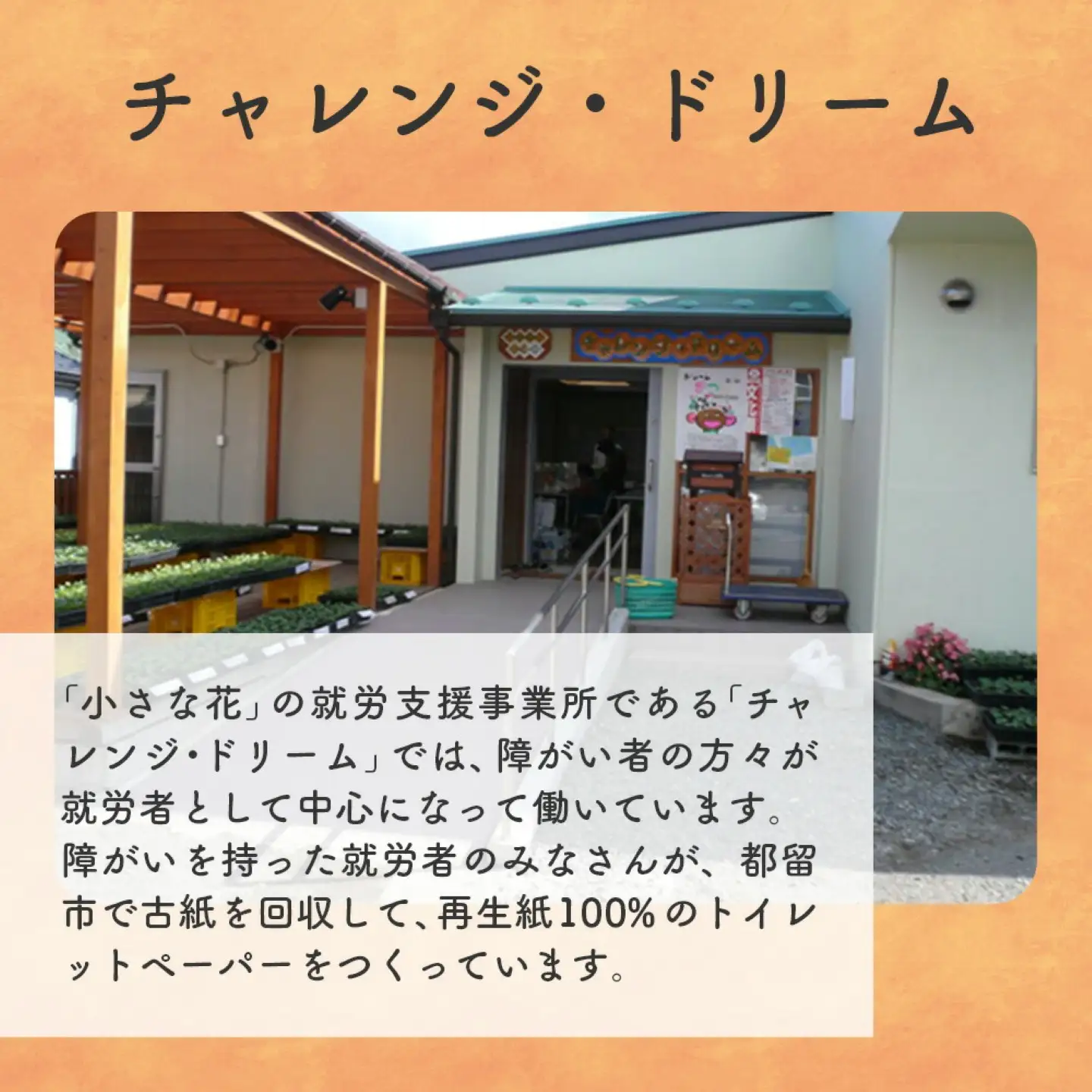 【シングルソフト100ロール】オリジナルトイレットペーパー　