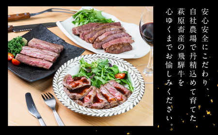 飛騨牛 ランプブロック 500g 【22-39】