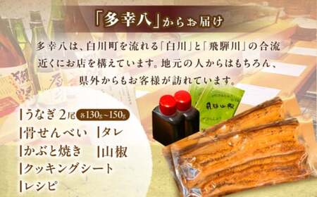 うなぎ蒲焼 2尾 白川町 / 多幸八 [AWBL002] うなぎ