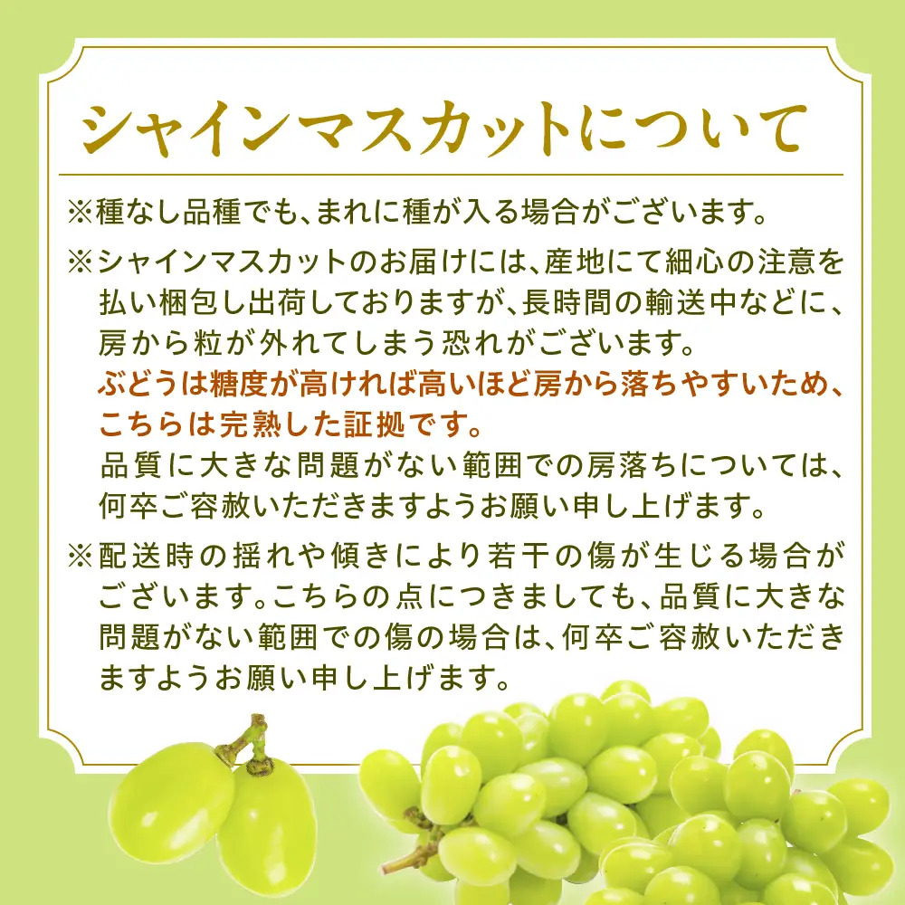 ぶどう シャインマスカット 大粒 2房 700g×2 令和8年産 ぶどう