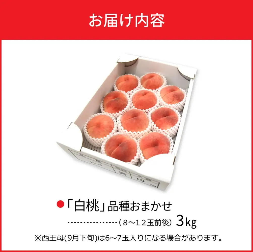 桃 白桃 3kg 品種おまかせ 8-12玉 令和8年産 桃 フルーツ
