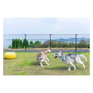 愛犬と泊まる絶景グランピング「LEMON FARM GLAMPING しまなみ」宿泊補助券 15,000円分