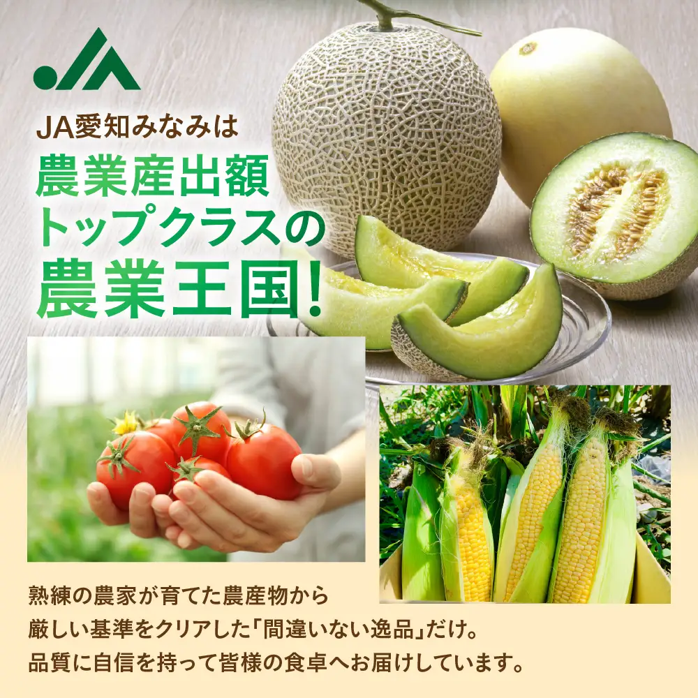 【先行予約】タカミメロン 4～6玉 メロン JA愛知みなみ